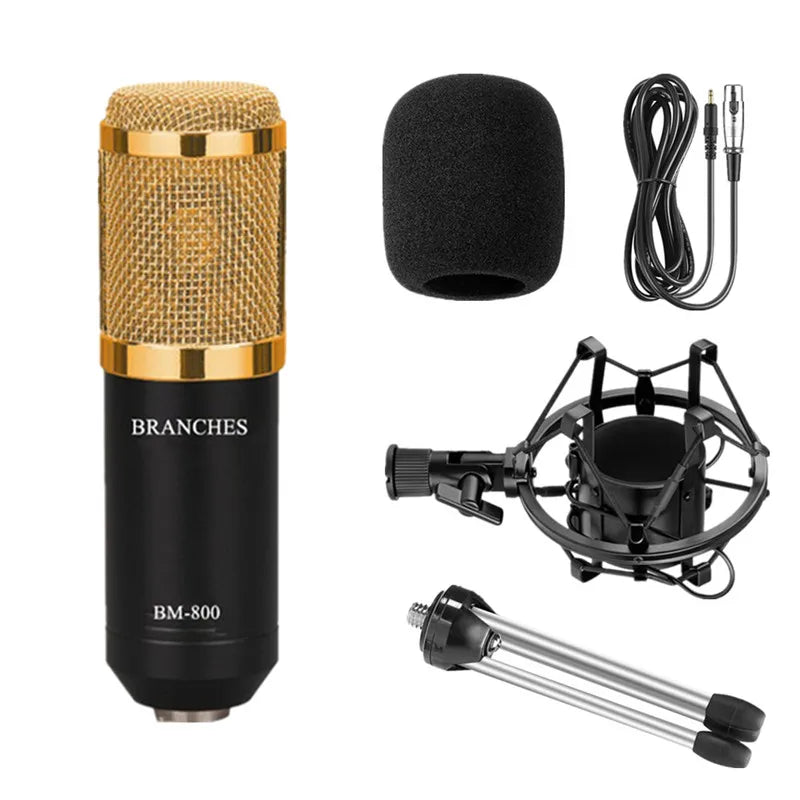 BM800 Mikrofon Condenser Sound Recording BM 800 Microphone With Shock Mount For Radio Braodcasting Singing Recording KTV Karaoke