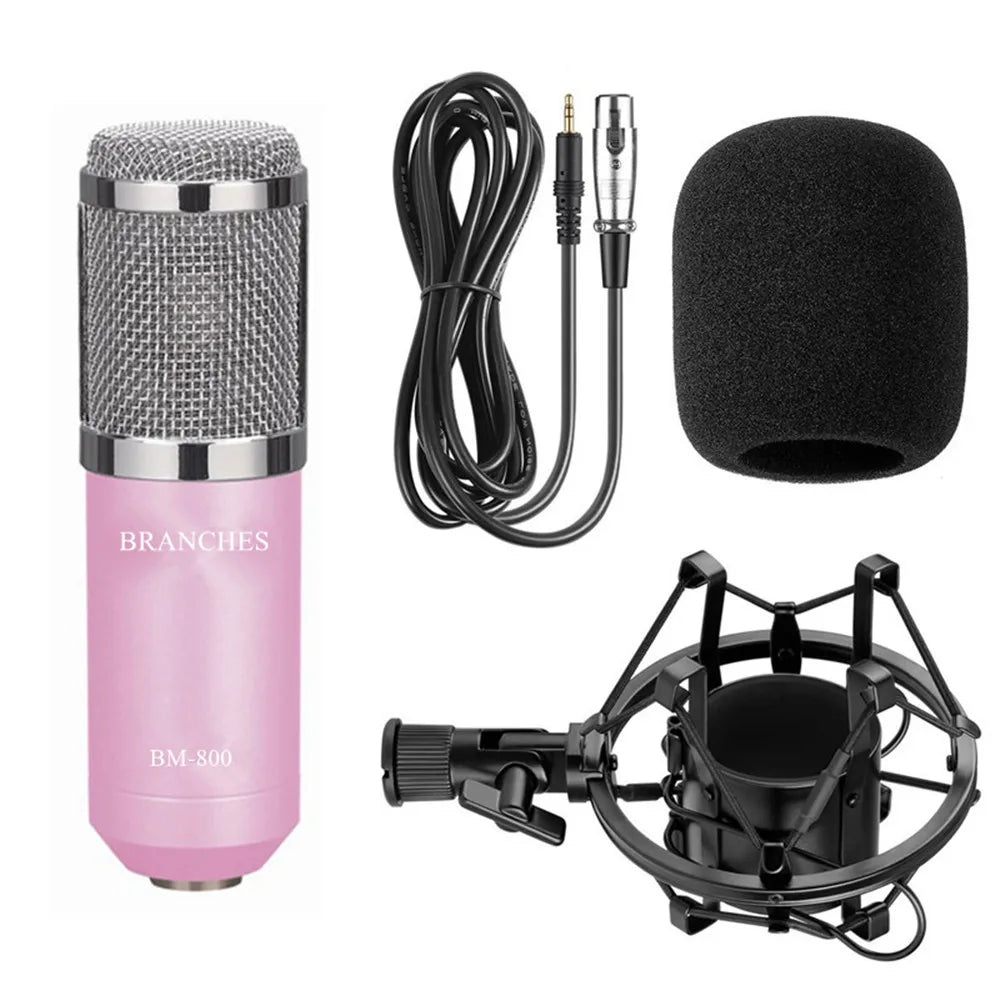 BM800 Mikrofon Condenser Sound Recording BM 800 Microphone With Shock Mount For Radio Braodcasting Singing Recording KTV Karaoke