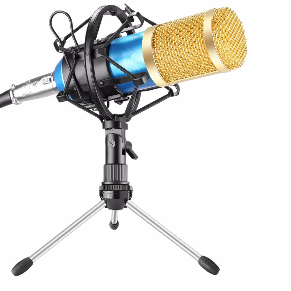 BM800 Mikrofon Condenser Sound Recording BM 800 Microphone With Shock Mount For Radio Braodcasting Singing Recording KTV Karaoke