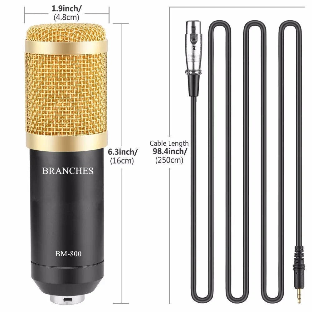 BM800 Mikrofon Condenser Sound Recording BM 800 Microphone With Shock Mount For Radio Braodcasting Singing Recording KTV Karaoke