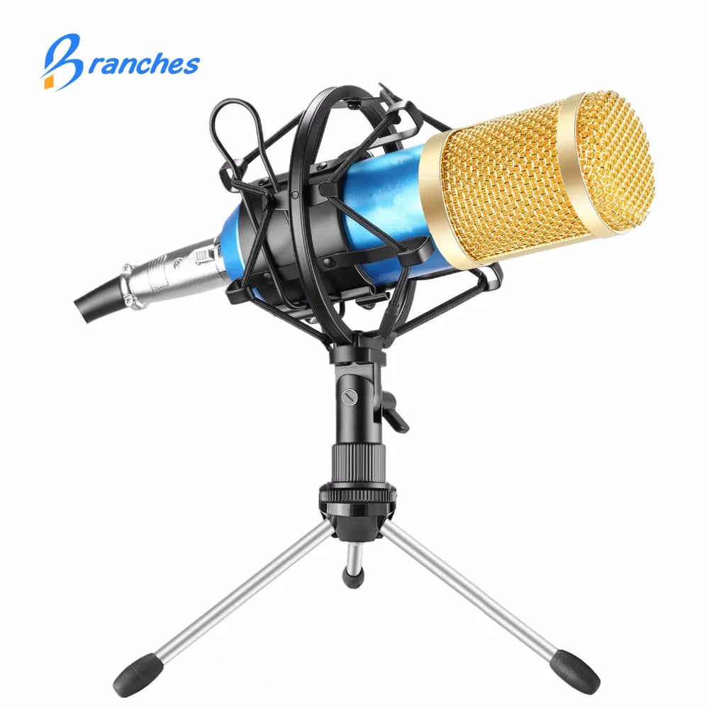 BM800 Mikrofon Condenser Sound Recording BM 800 Microphone With Shock Mount For Radio Braodcasting Singing Recording KTV Karaoke