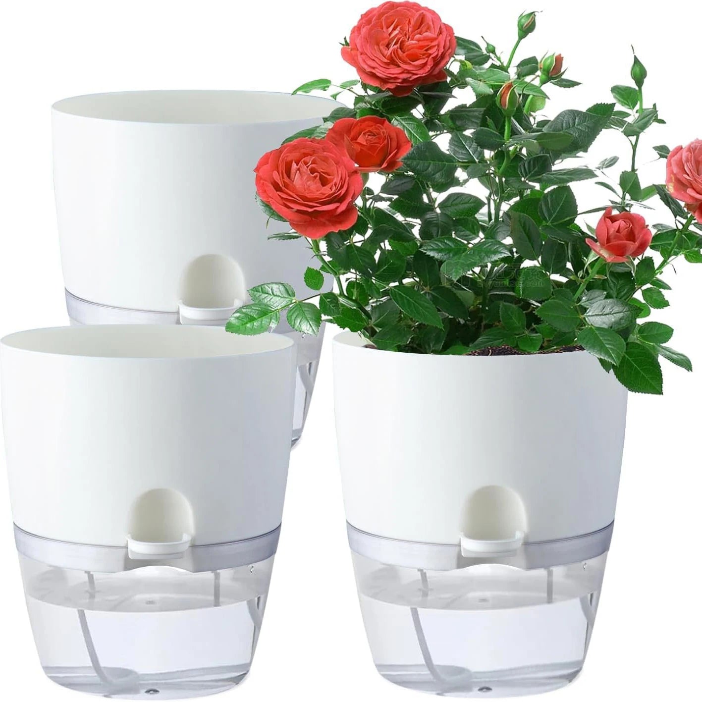 Flowerpots 3 Set Transparent Plastic Double-deck And Self-absorbent Cotton Rope Lazy Flower Pot Fashion Flowerpot Garden Supplie